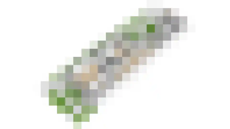 Prinseheuvellaan 24 Maarn thumbnail 65