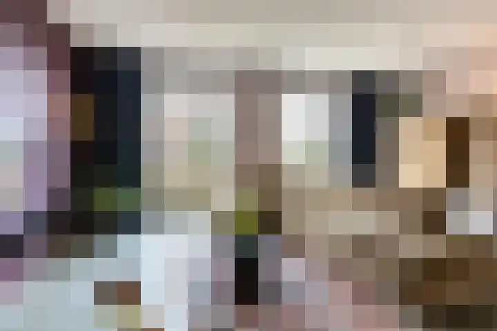Prinsekaai 63 Bergen op Zoom thumbnail 11