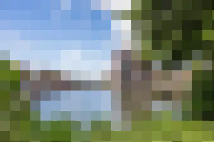 Prinsekaai 63 Bergen op Zoom thumbnail 64