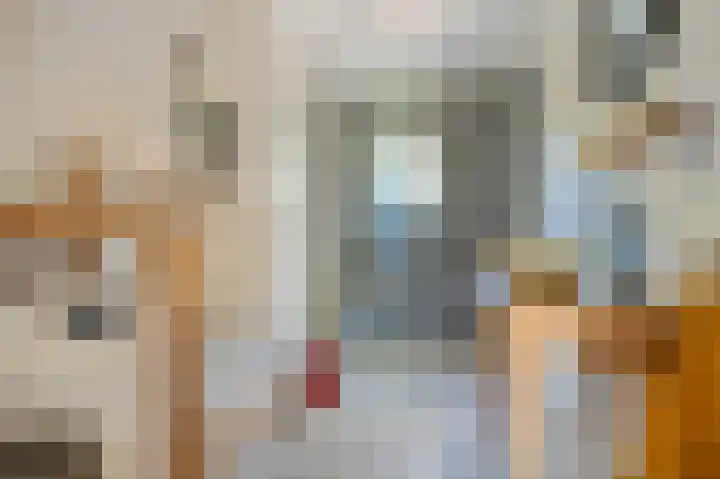 Prinsen Bolwerk 20 Haarlem thumbnail 21