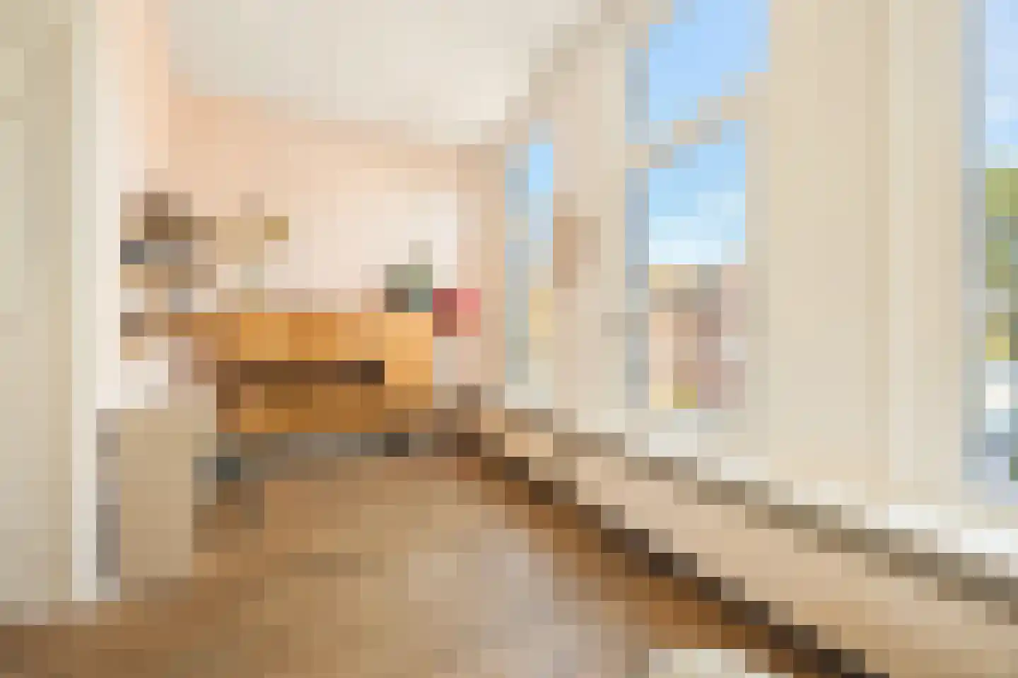 Prinsen Bolwerk 66 RD Haarlem thumbnail 12