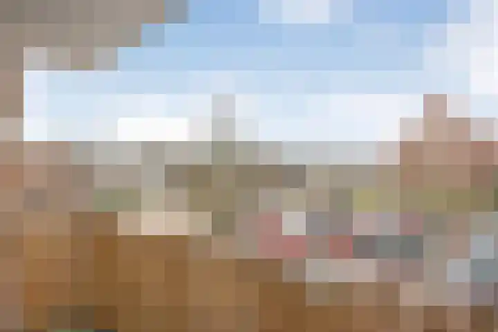 Prinsen Hoven 11 Steenwijk thumbnail 16