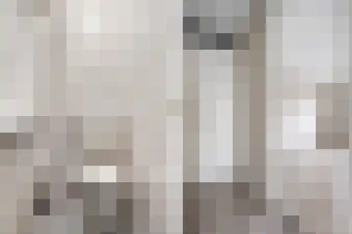Prinsen Hoven 13 Steenwijk thumbnail 5