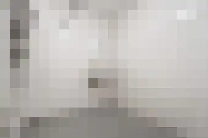 Prinsen Hoven 13 Steenwijk thumbnail 8