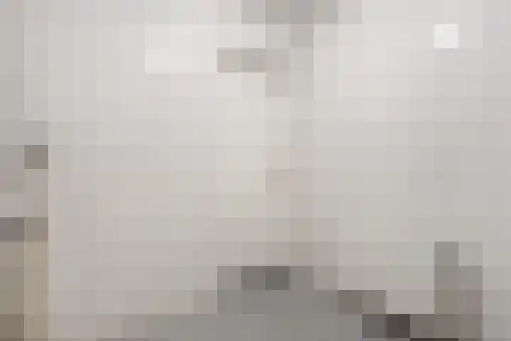 Prinsen Hoven 13 Steenwijk thumbnail 9