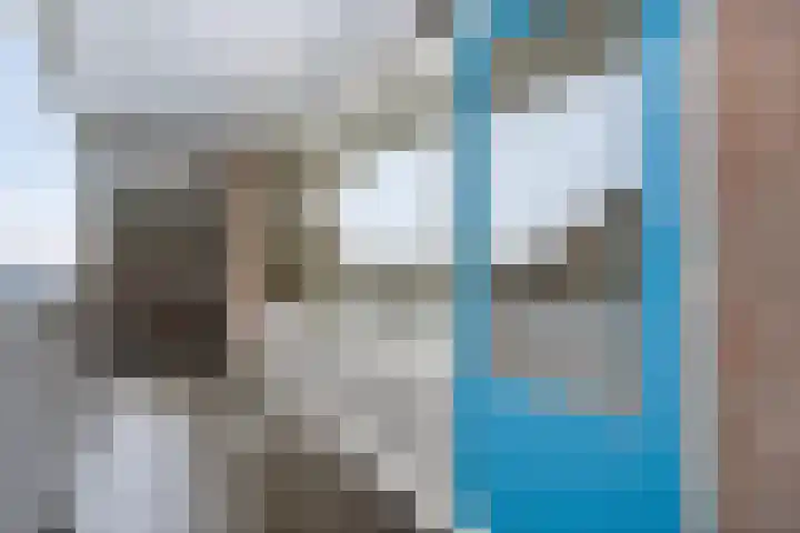 Prinsen Hoven 14 Steenwijk thumbnail 11