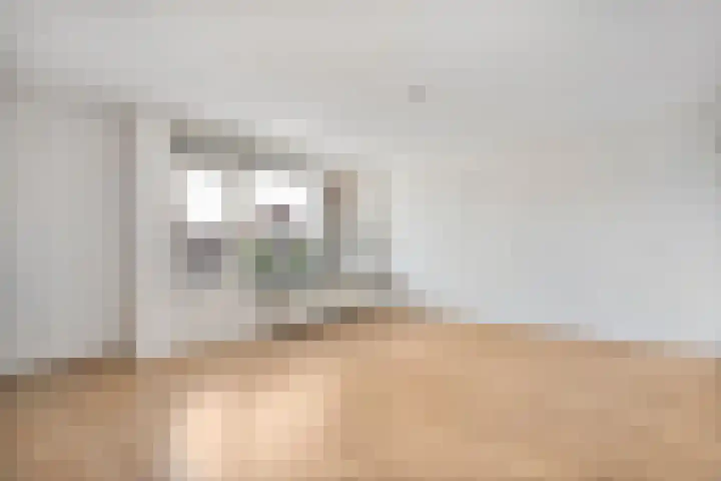 Prinsen Hoven 25 Steenwijk thumbnail 9