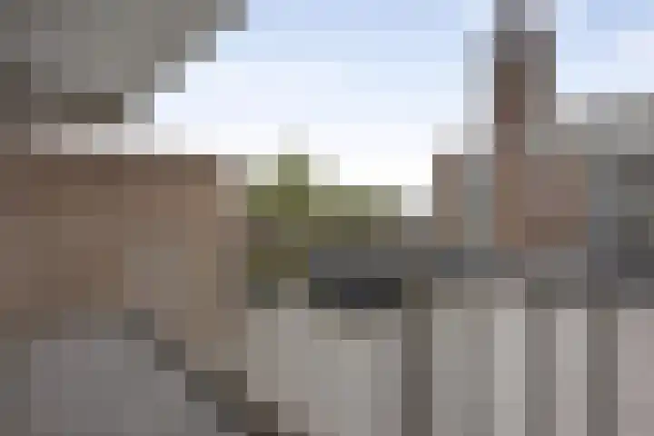 Prinsen Hoven 30 Steenwijk thumbnail 13