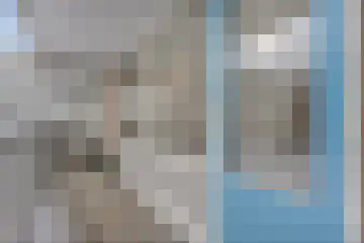 Prinsen Hoven 30 Steenwijk thumbnail 6