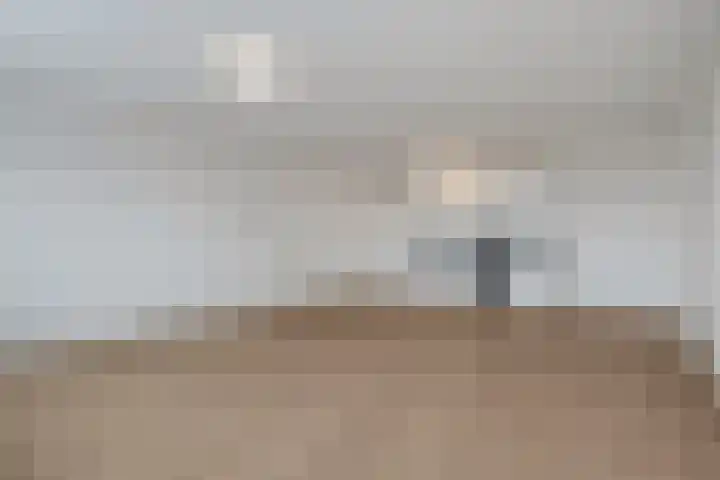 Prinsen Hoven 41 Steenwijk thumbnail 7