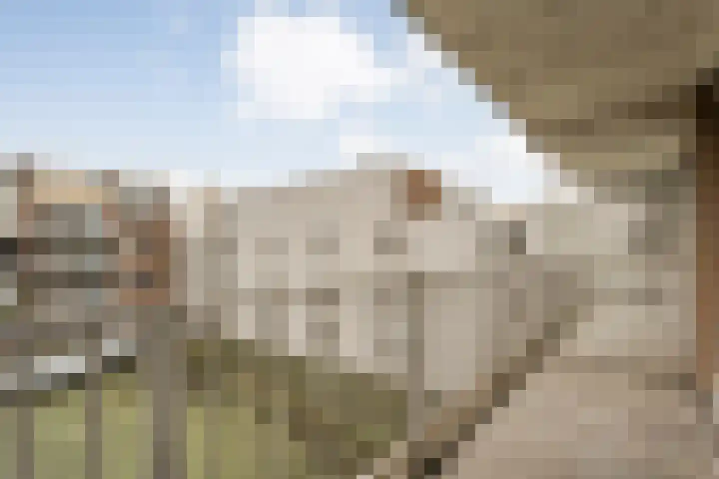 Prinsen Hoven 42 Steenwijk thumbnail 17