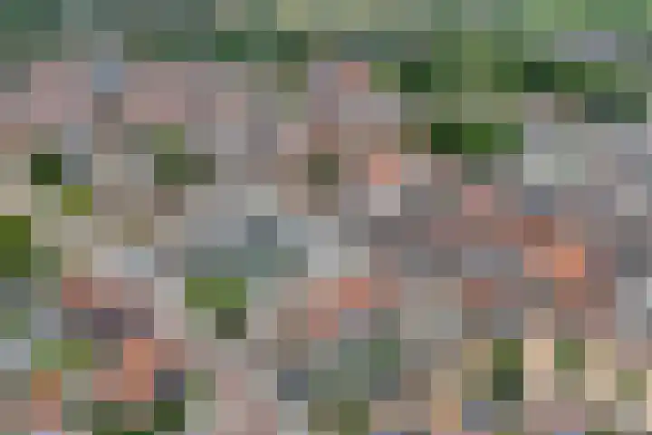 Prinsen Hoven 77 Steenwijk thumbnail 16