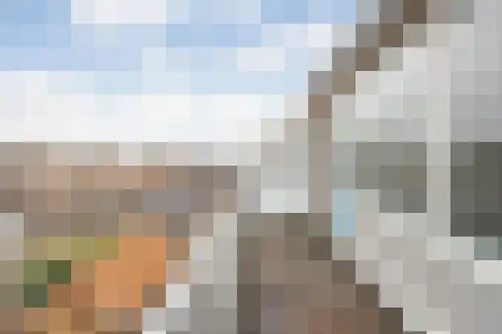 Prinsen Hoven 94 Steenwijk thumbnail 20