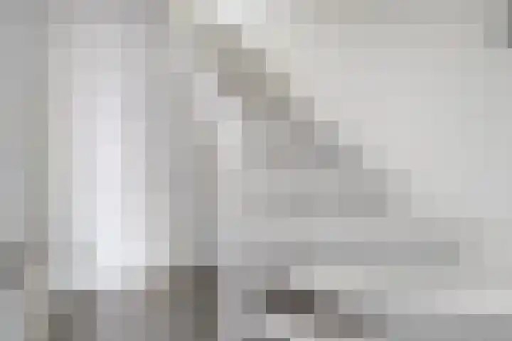 Prinsen Hoven 94 Steenwijk thumbnail 8