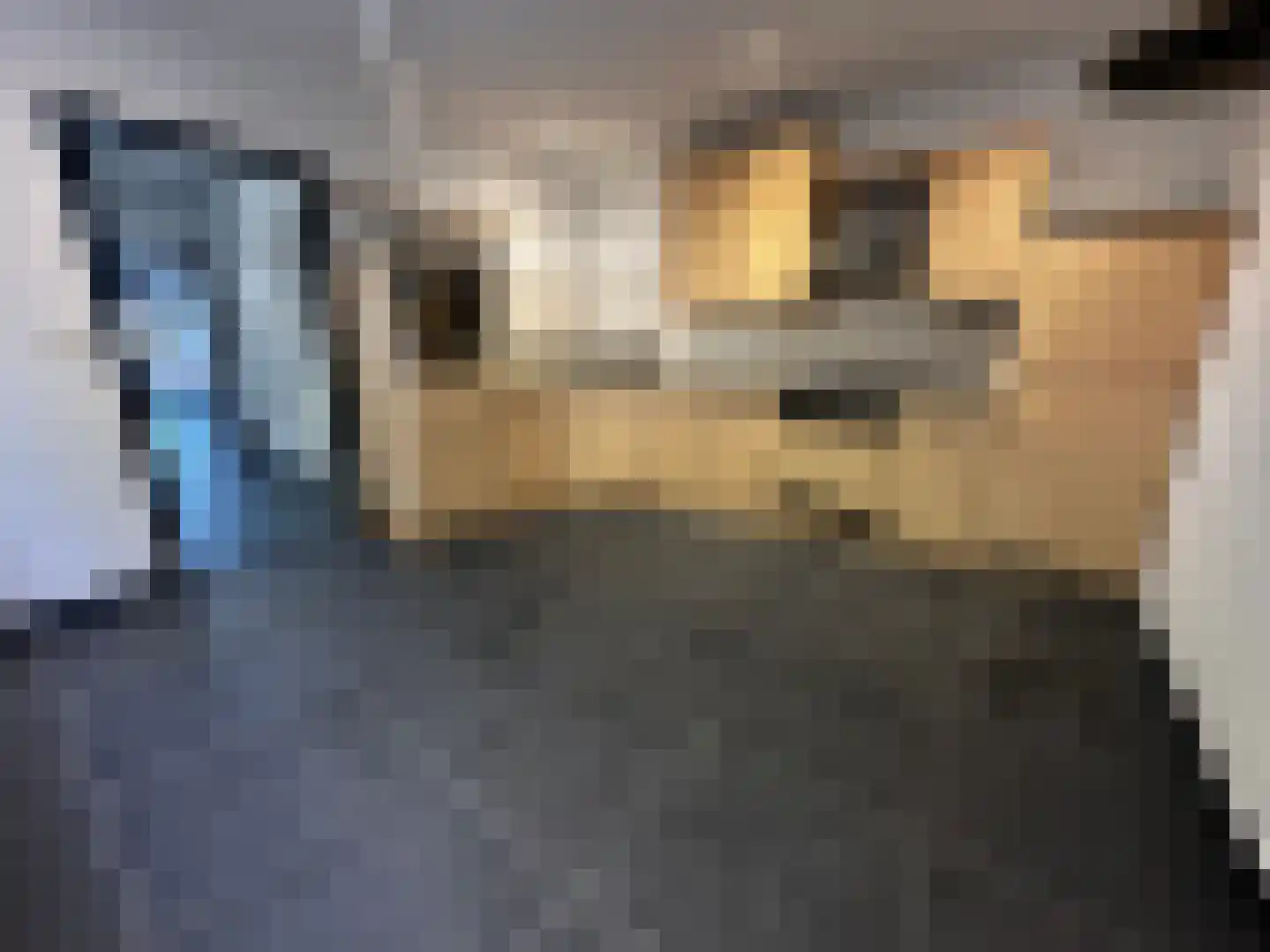 Prinsenbaan 114 Koningsbosch thumbnail 12