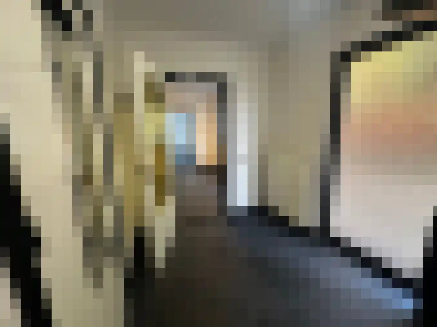 Prinsenbaan 114 Koningsbosch thumbnail 14