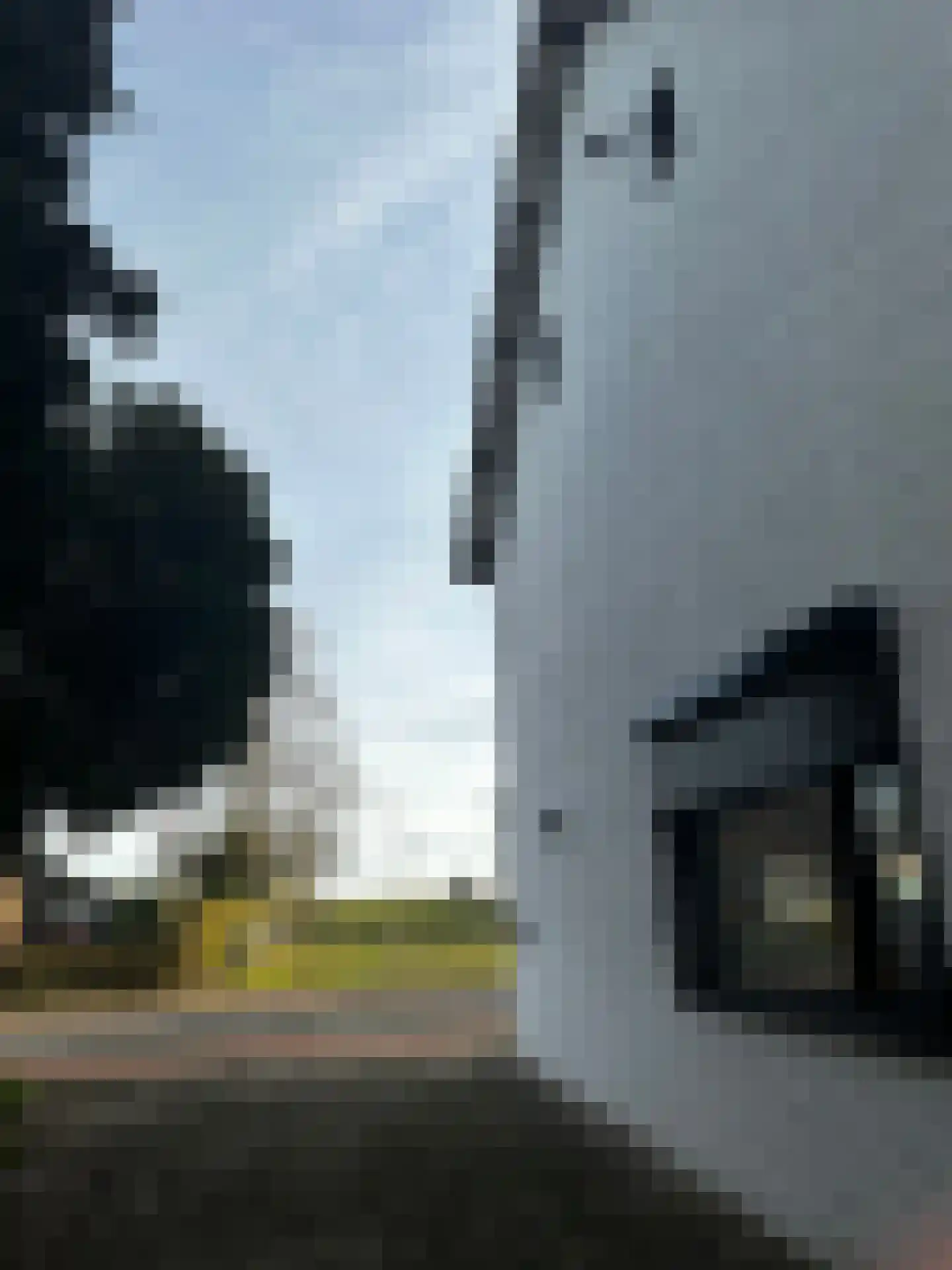 Prinsenbaan 114 Koningsbosch thumbnail 6