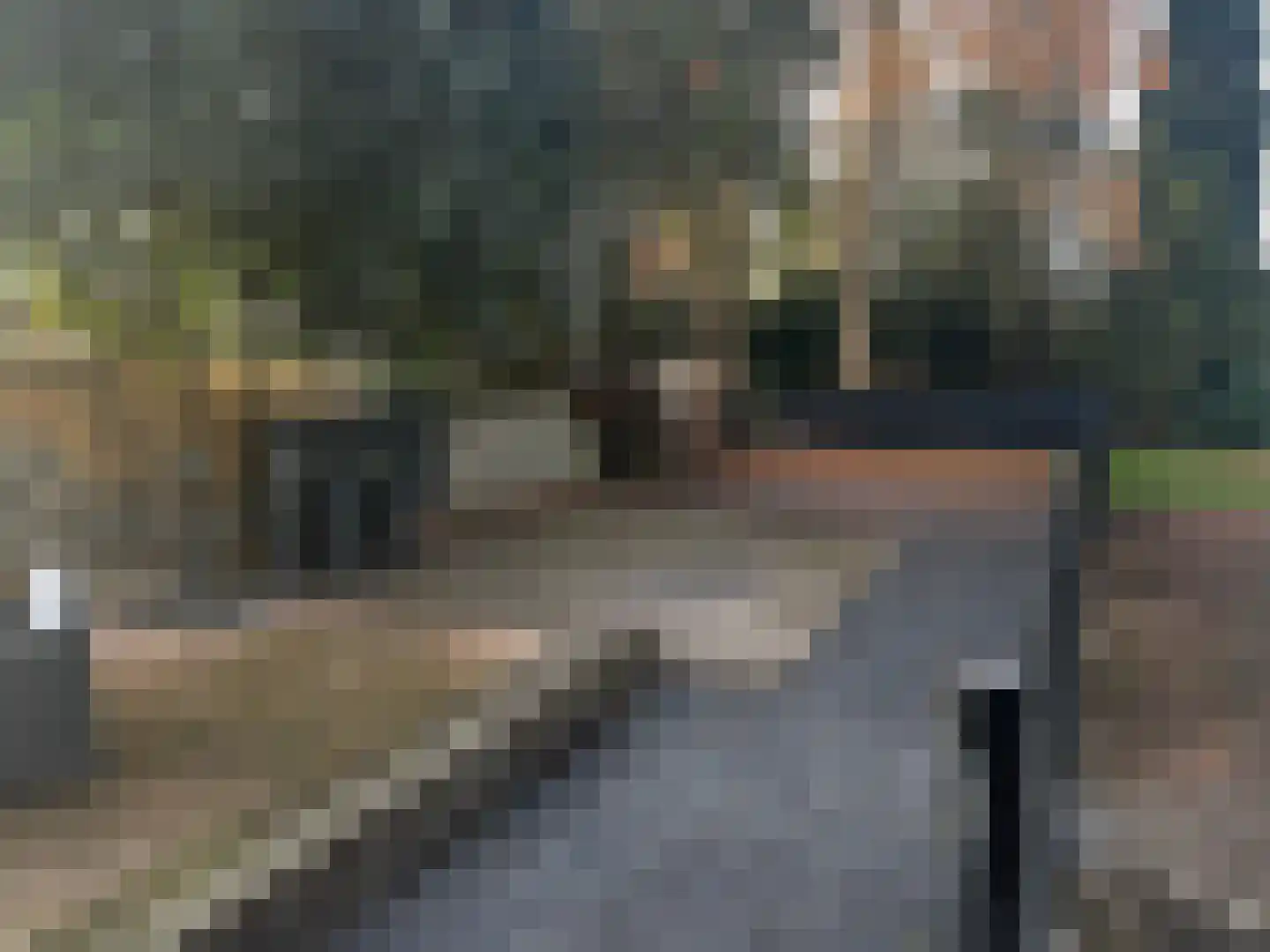 Prinsenbaan 114 Koningsbosch thumbnail 7