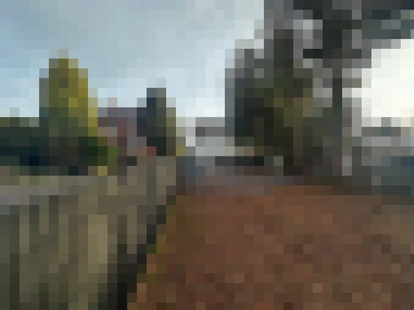 Prinsenbaan 114 Koningsbosch thumbnail 8