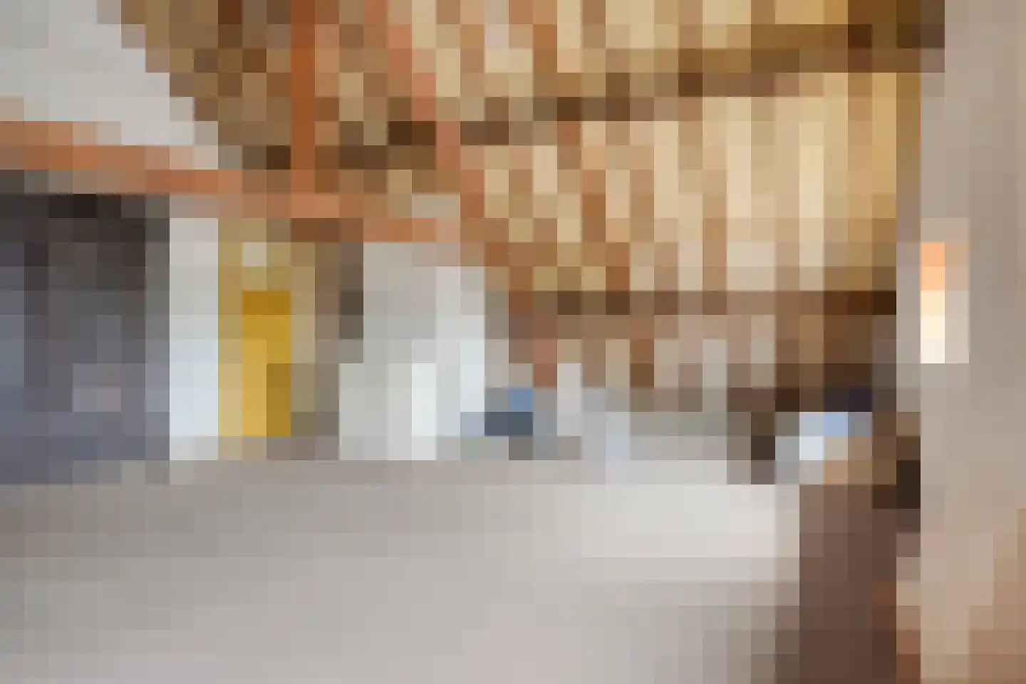 Prinsenbaan 131 Koningsbosch thumbnail 30