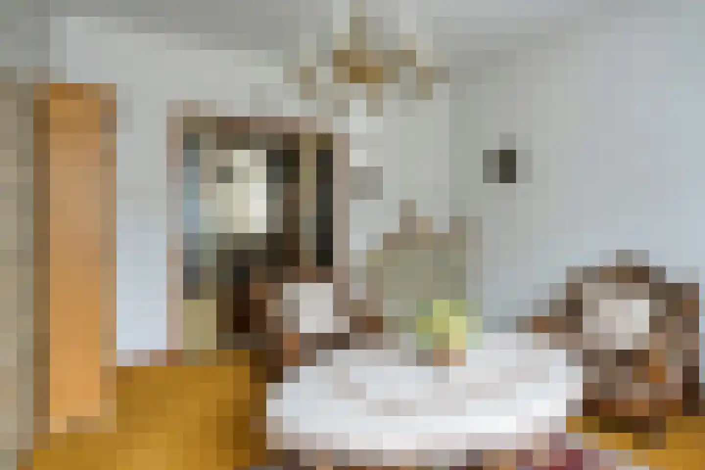 Prinsenbaan 131 Koningsbosch thumbnail 5