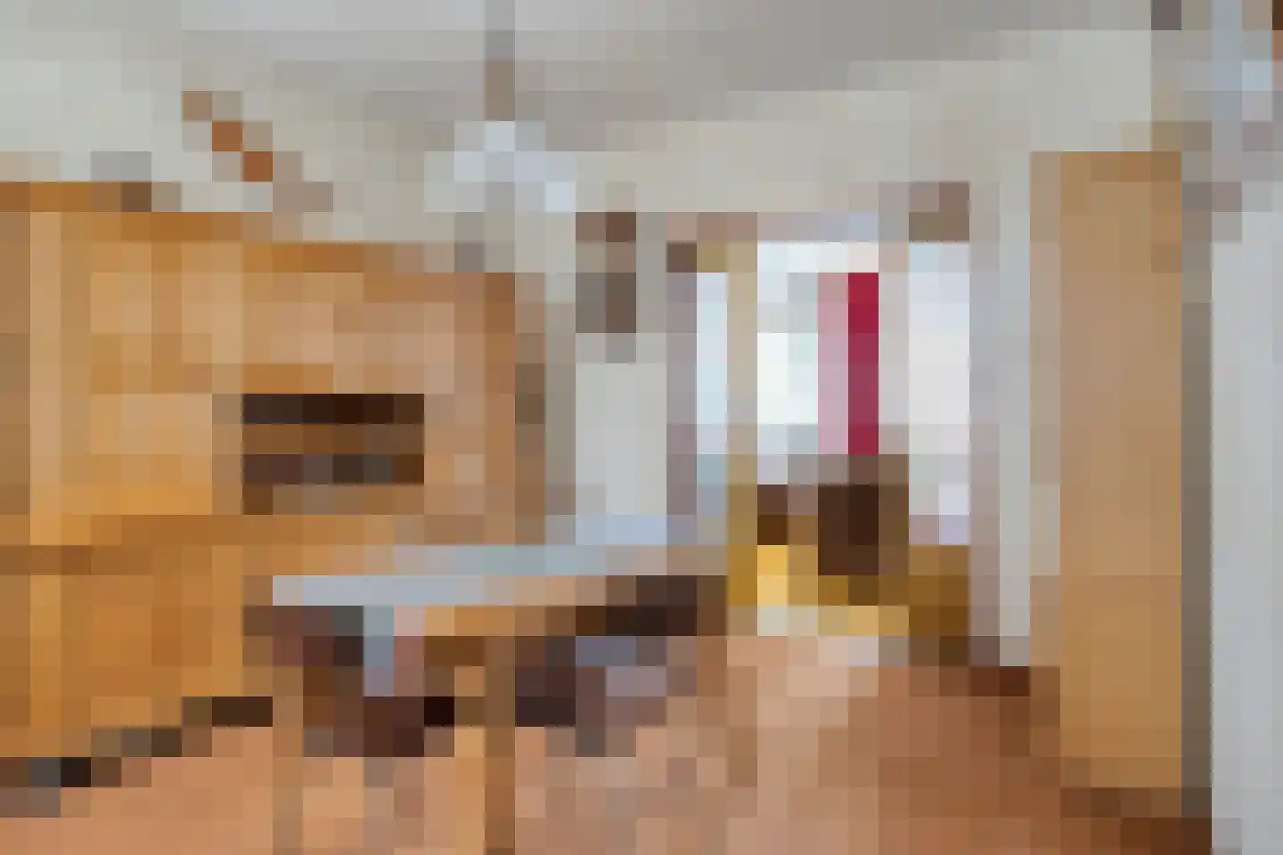 Prinsenbaan 131 Koningsbosch thumbnail 9