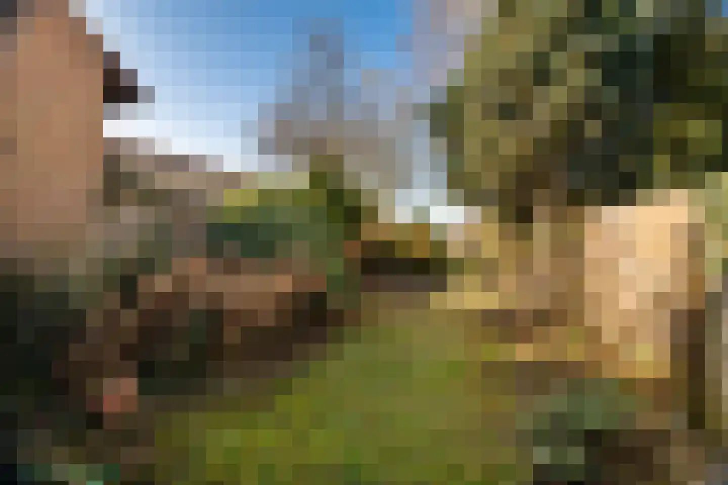 Prinsenbaan 132 Koningsbosch thumbnail 22