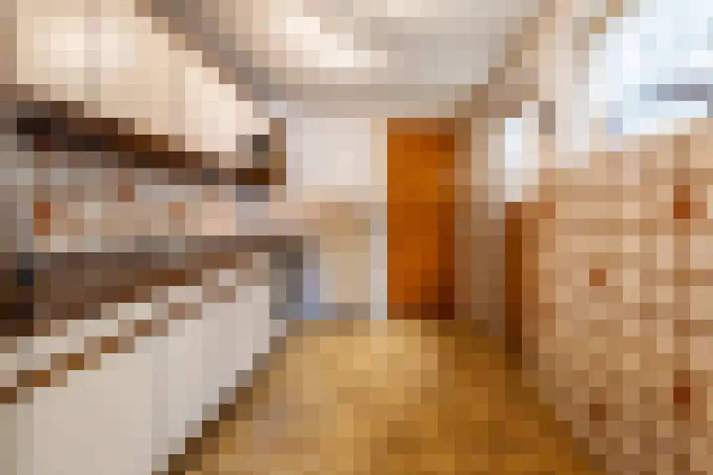 Prinsenbaan 132 Koningsbosch thumbnail 7