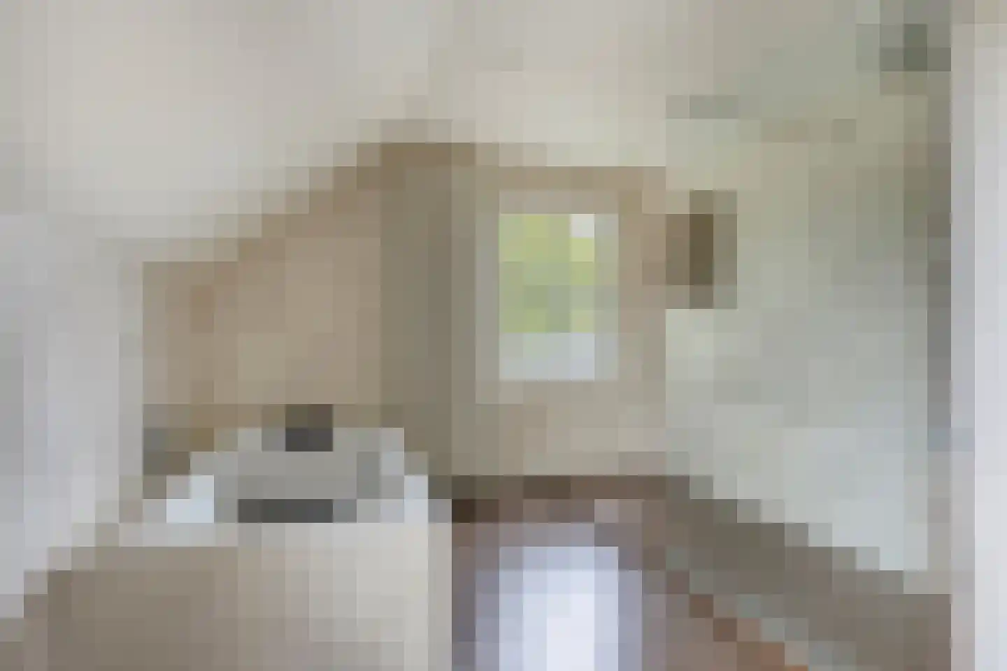Prinsenbaan 133 A Koningsbosch thumbnail 30