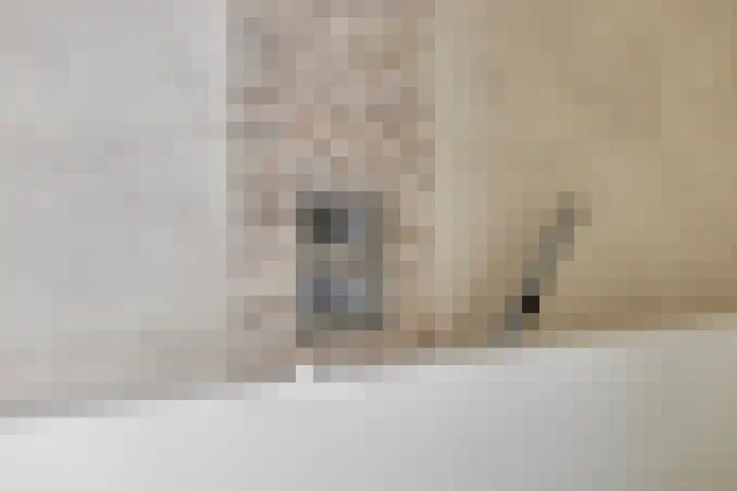 Prinsenbaan 133 A Koningsbosch thumbnail 31