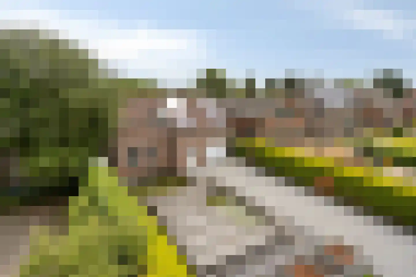 Prinsenbaan 133 A Koningsbosch thumbnail 44