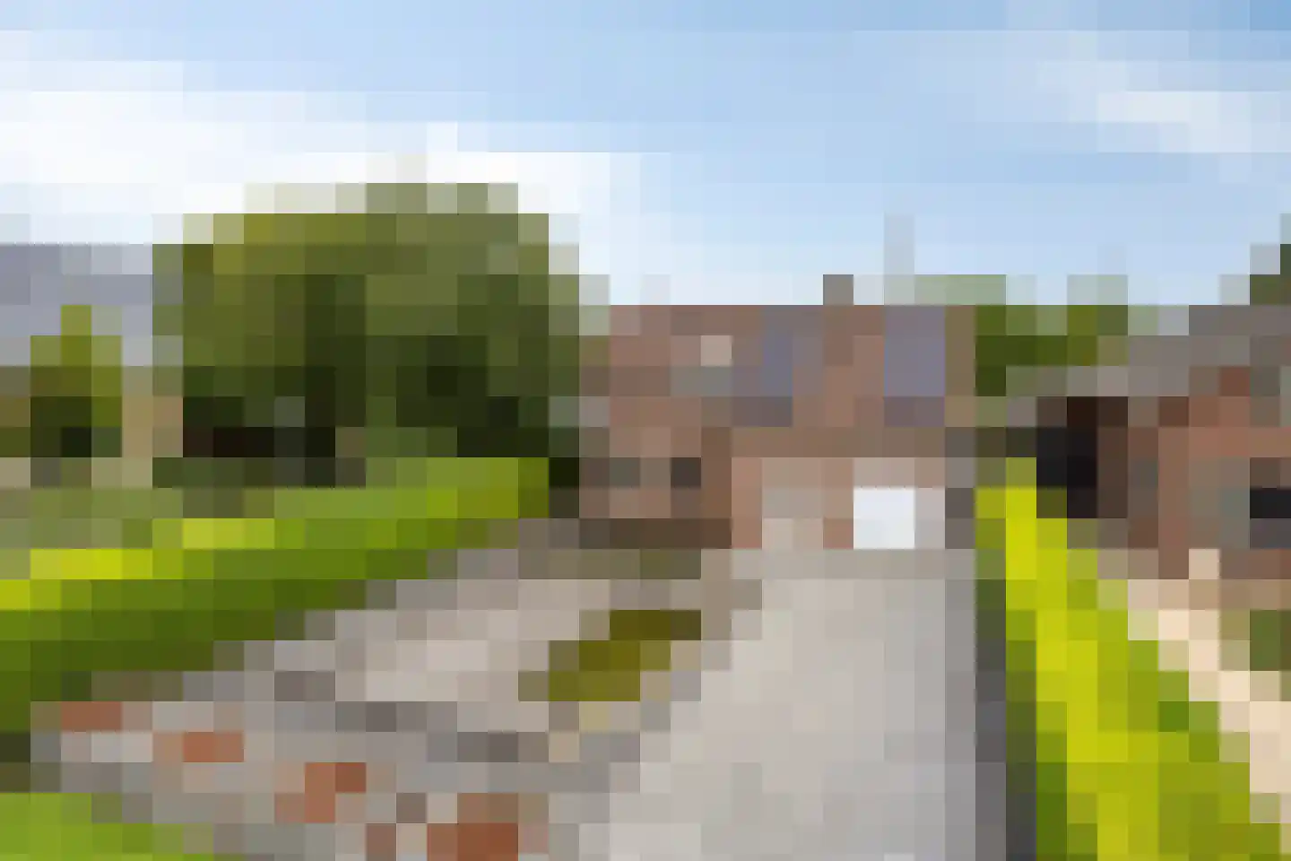 Prinsenbaan 133 A Koningsbosch thumbnail 46