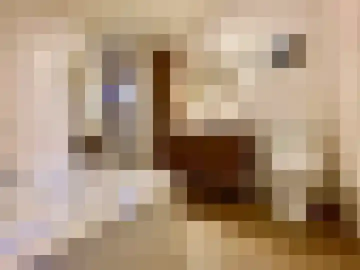 Prinsenbaan 135 Koningsbosch thumbnail 12