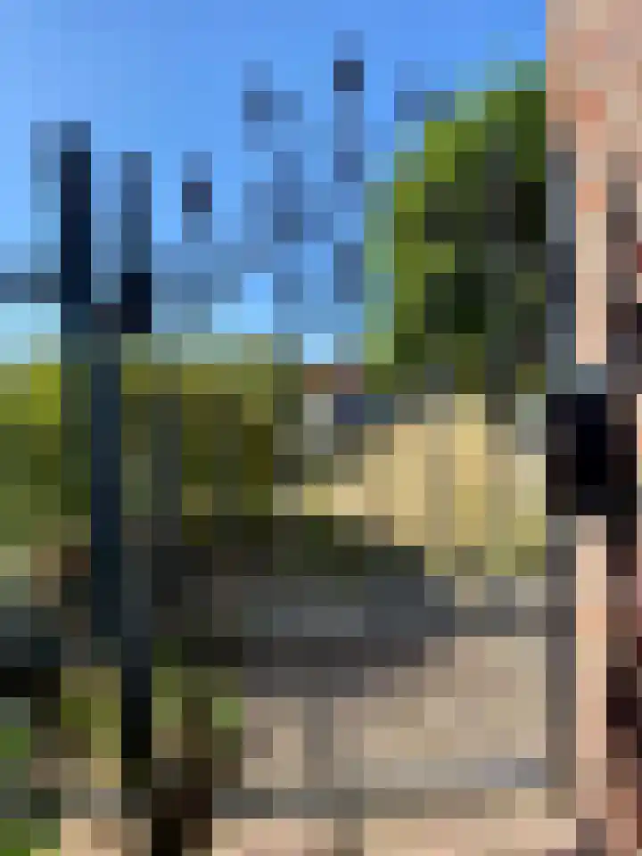 Prinsenbaan 135 Koningsbosch thumbnail 31