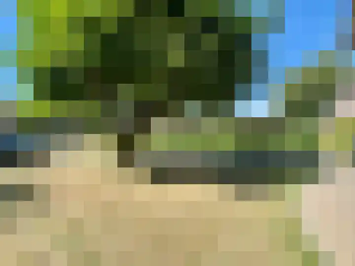 Prinsenbaan 135 Koningsbosch thumbnail 32