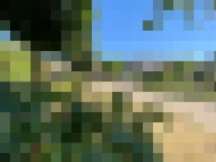 Prinsenbaan 135 Koningsbosch thumbnail 33