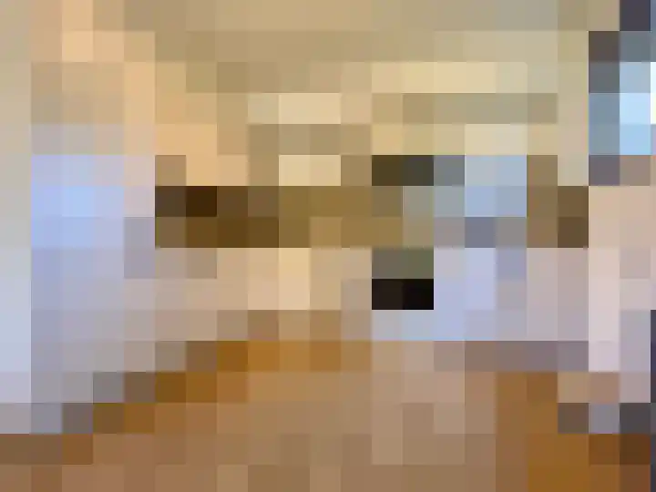 Prinsenbaan 135 Koningsbosch thumbnail 8
