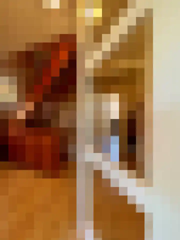 Prinsenbaan 135 Koningsbosch thumbnail 9