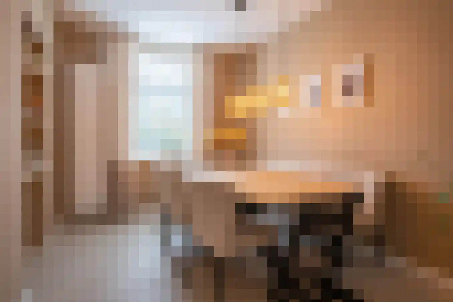 Prinsenbaan 142 Koningsbosch thumbnail 12