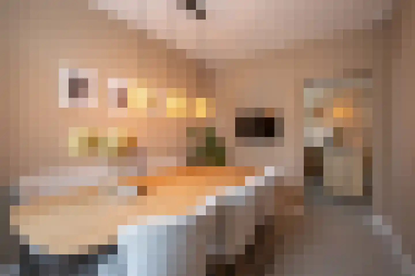 Prinsenbaan 142 Koningsbosch thumbnail 13