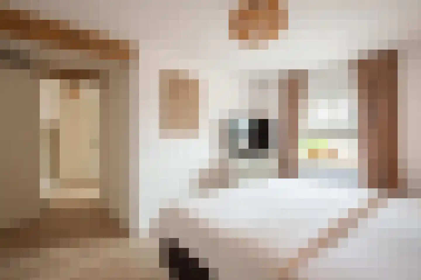 Prinsenbaan 142 Koningsbosch thumbnail 22