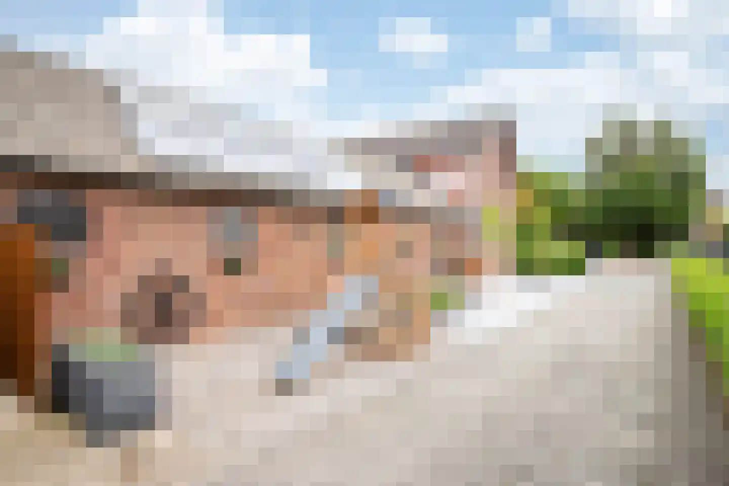Prinsenbaan 142 Koningsbosch thumbnail 37