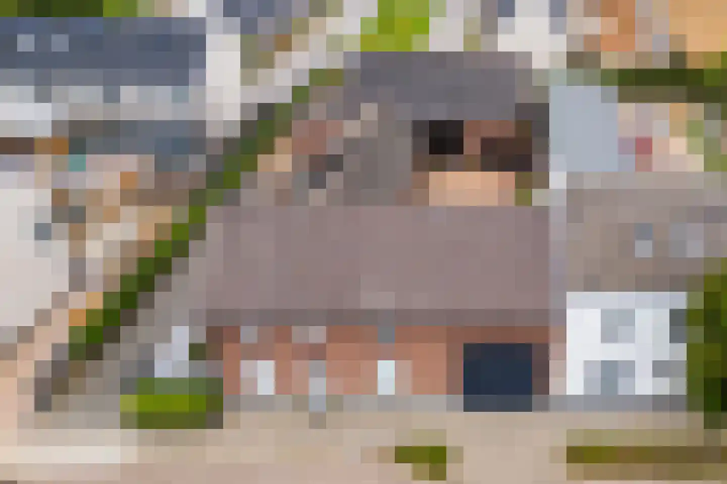 Prinsenbaan 142 Koningsbosch thumbnail 41