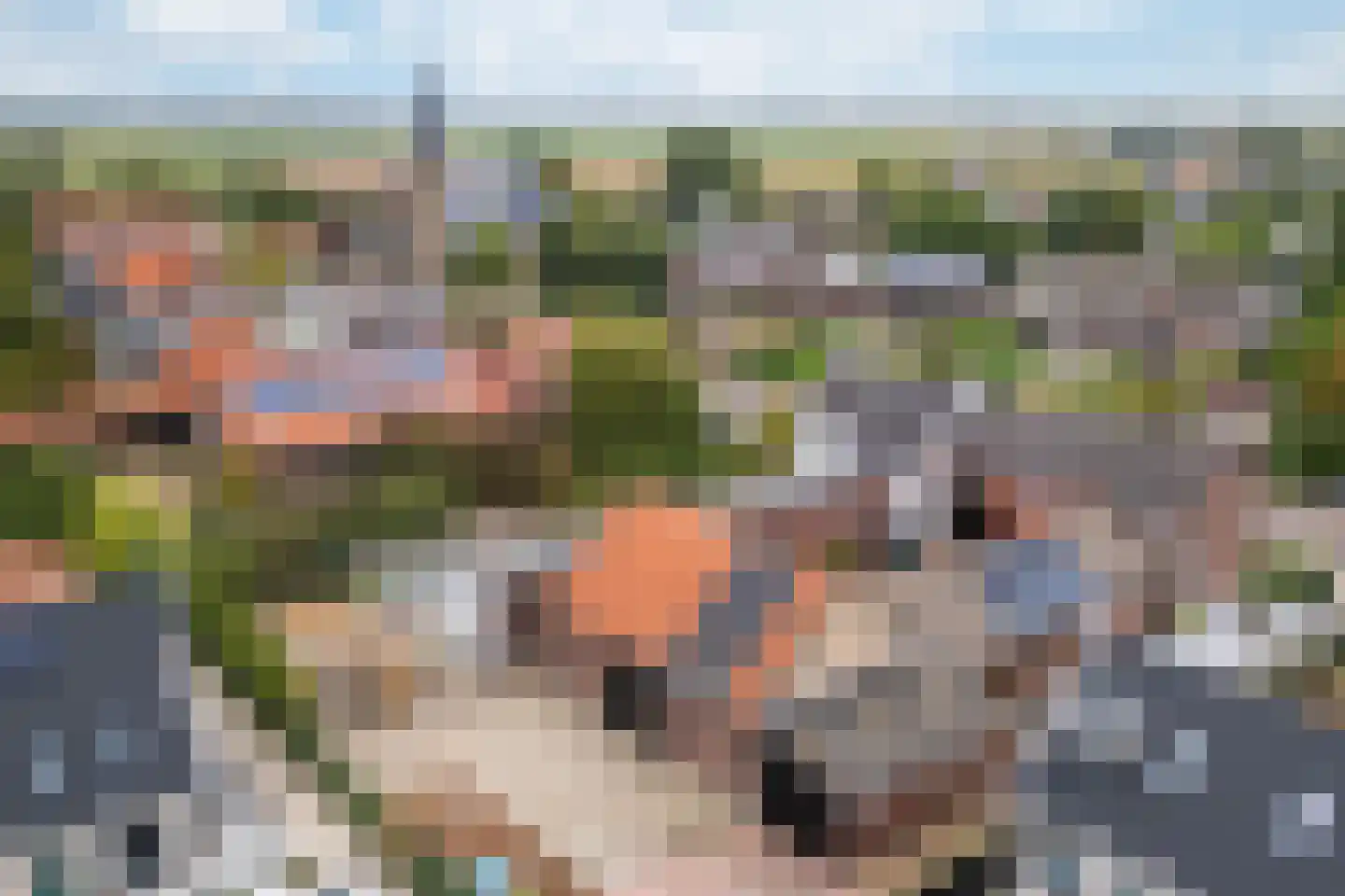 Prinsenbaan 142 Koningsbosch thumbnail 42