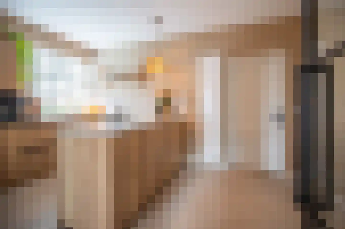 Prinsenbaan 142 Koningsbosch thumbnail 7