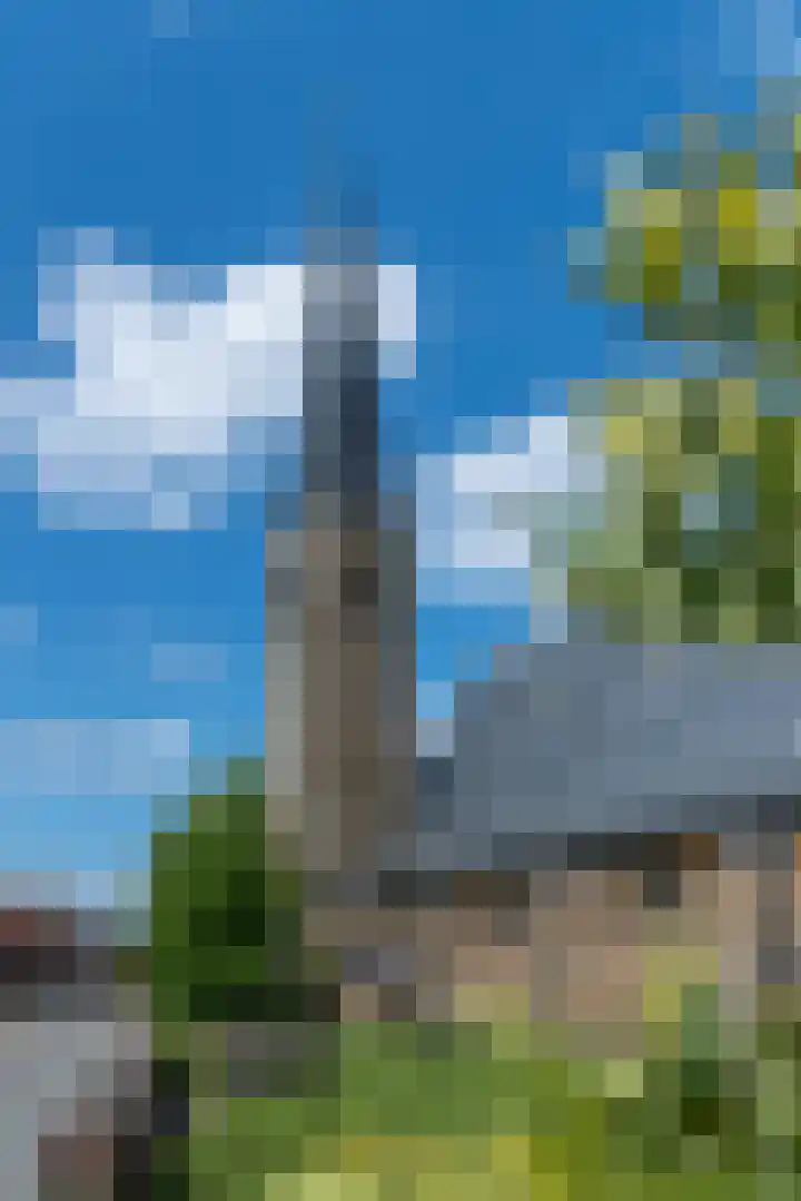 Prinsenbaan 146 Koningsbosch thumbnail 10