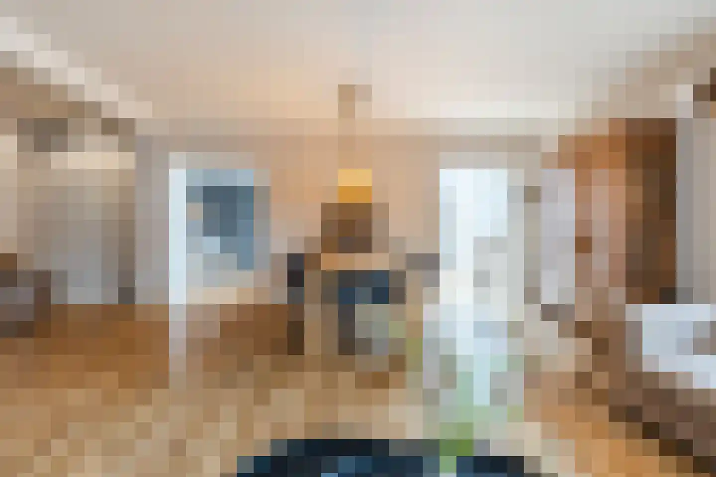 Prinsenbaan 155 Koningsbosch thumbnail 15