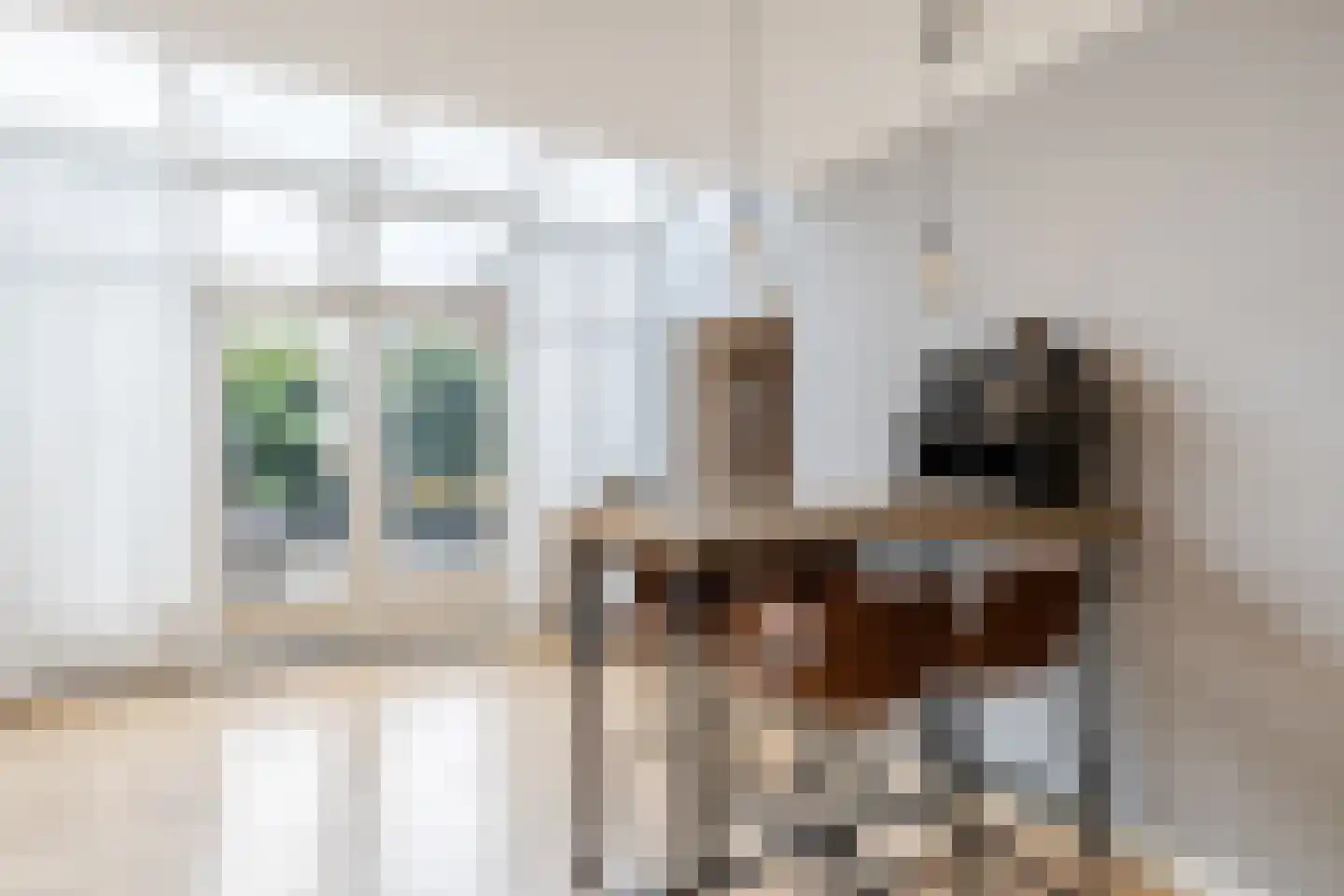Prinsenbaan 155 Koningsbosch thumbnail 28