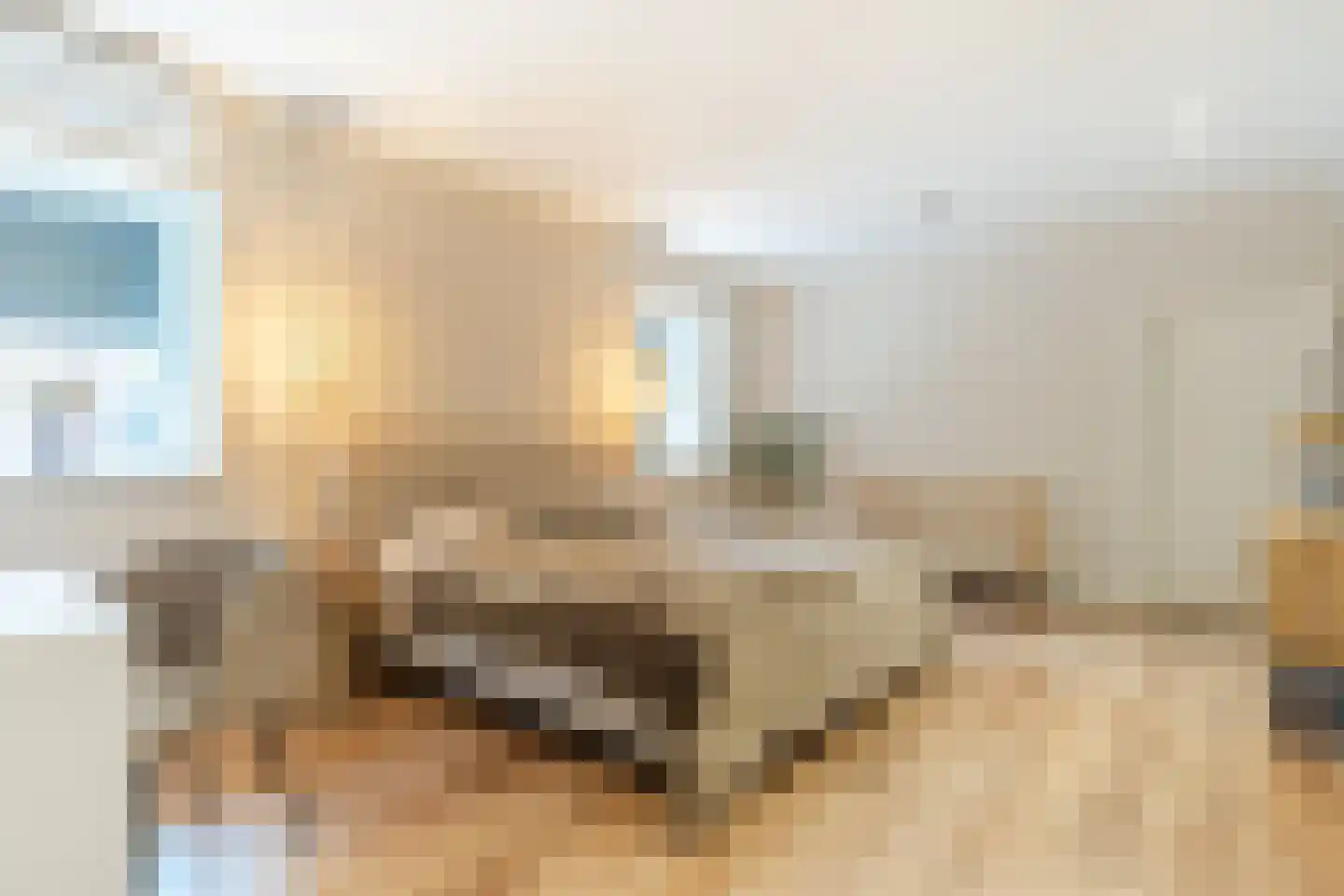 Prinsenbaan 155 Koningsbosch thumbnail 37