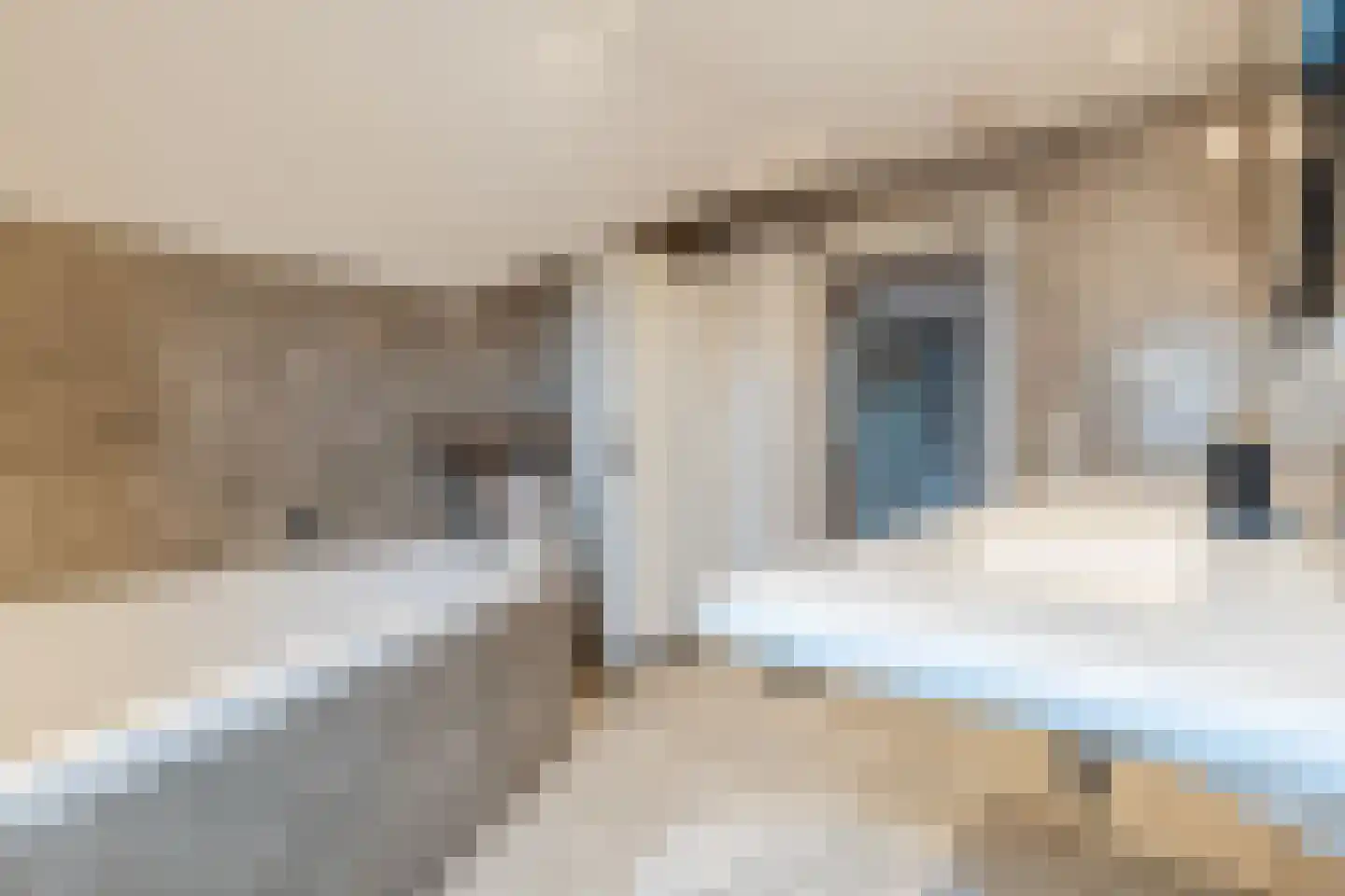 Prinsenbaan 155 Koningsbosch thumbnail 65